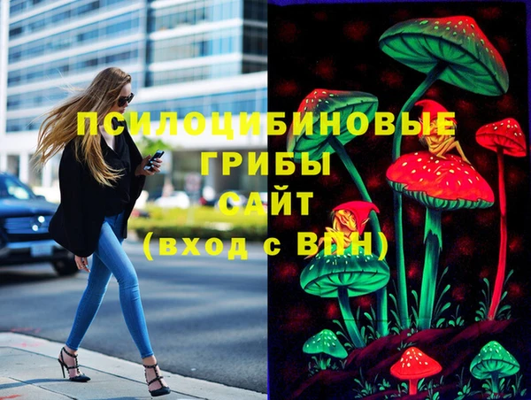 сатива Белоозёрский