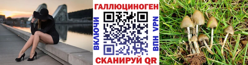 купить наркотики цена  МЕГА ТОР  Галлюциногенные грибы Cubensis  Сухой Лог 